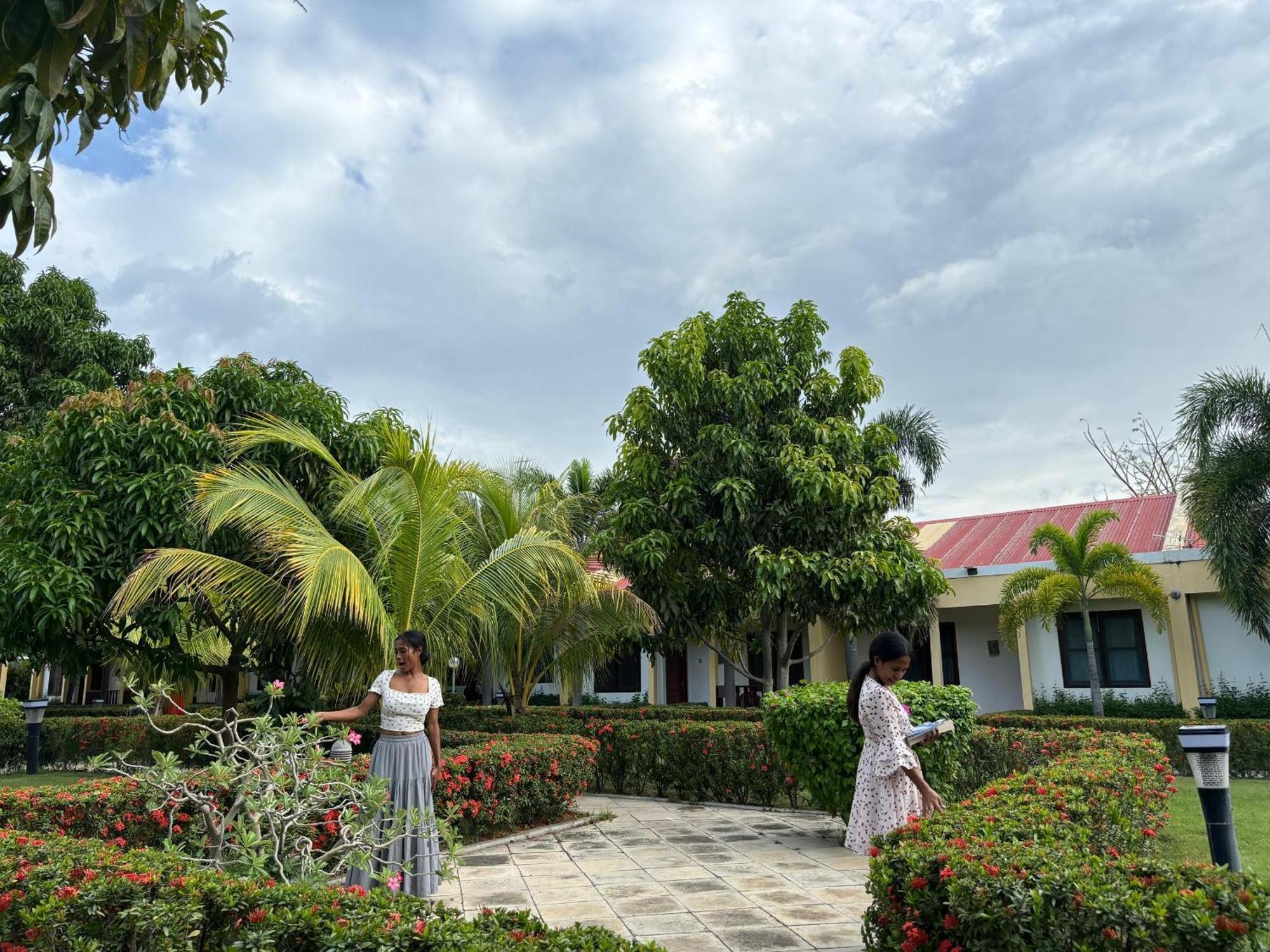 Palm Malinamoc Hotel Dili Esterno foto