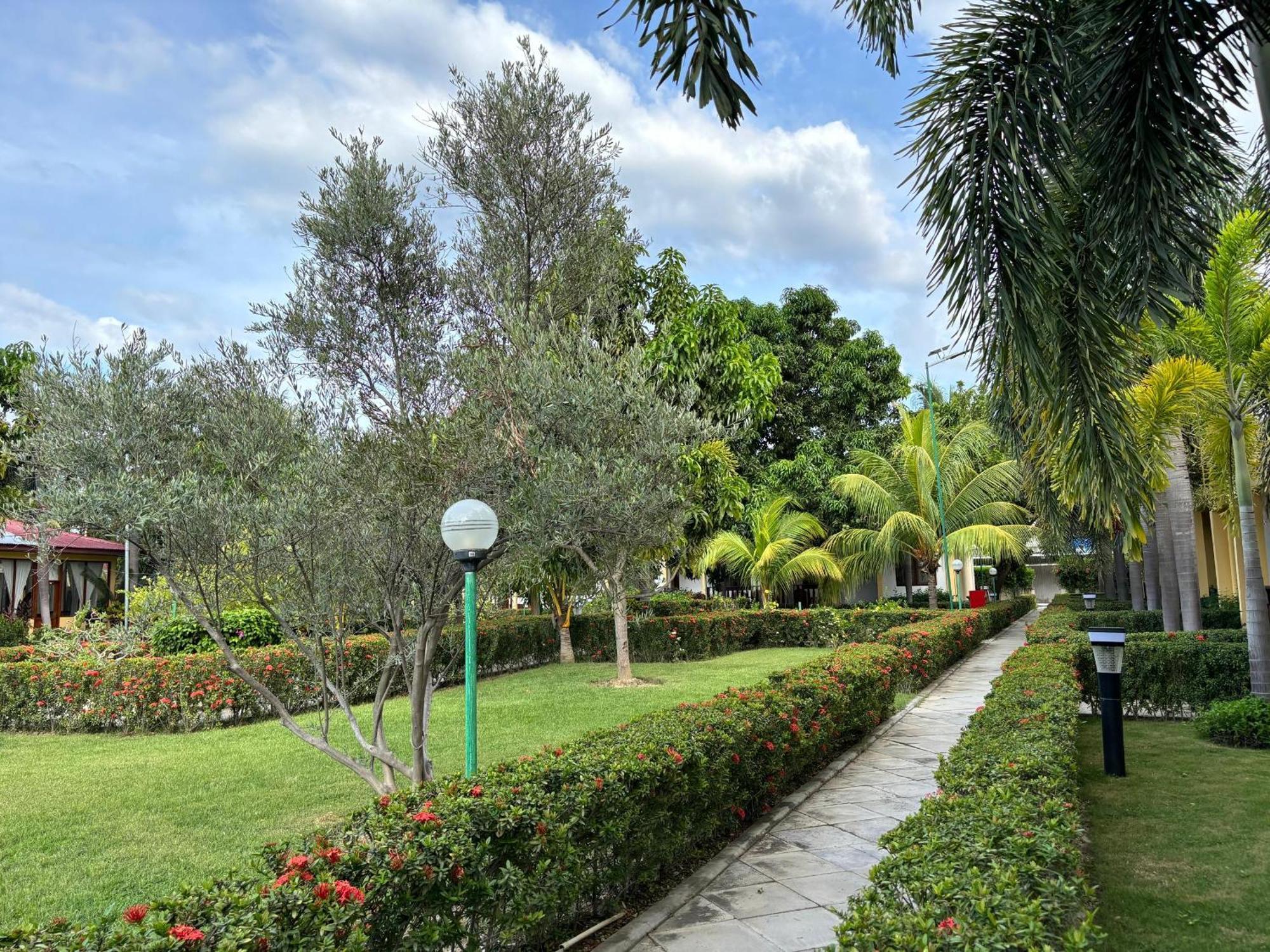 Palm Malinamoc Hotel Dili Esterno foto